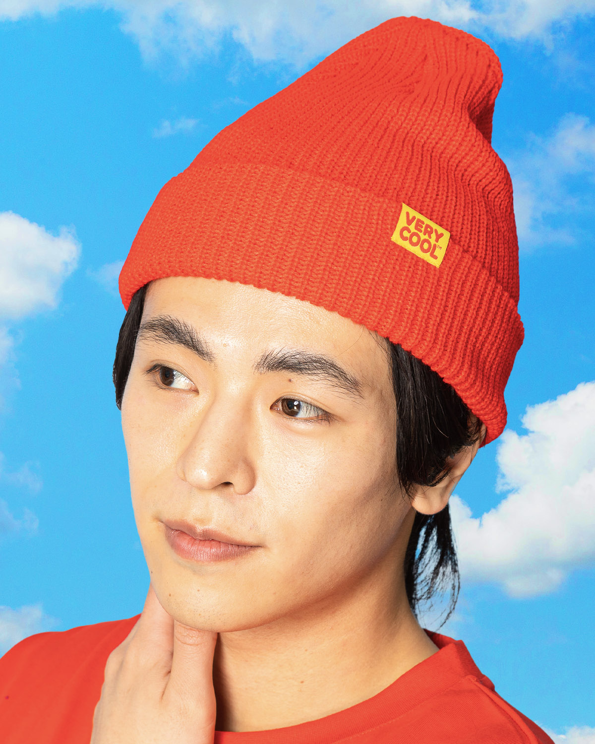 The Play Cool Beanie Cool Shirtz The play cool beanie cool shirtz